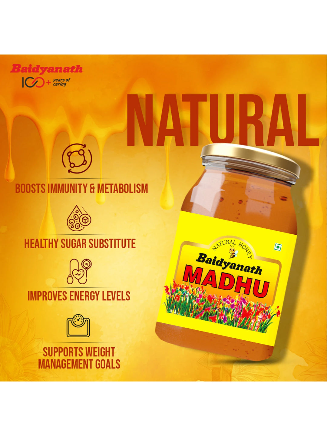 Baidyanath Madhu Honey 500 gm