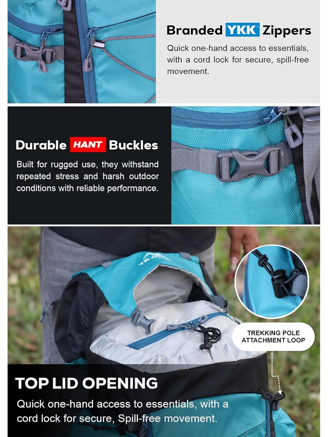 TEAL