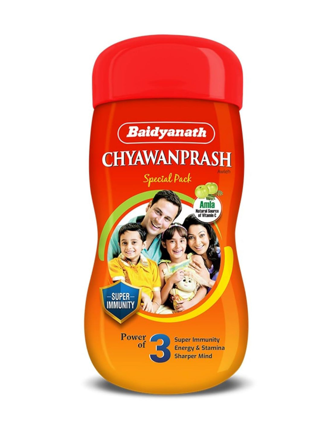Baidyanath Chyawanprash Paste (500 gm)
