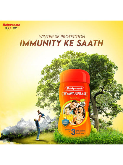Baidyanath Chyawanprash Paste (500 gm)