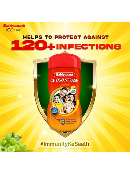 Baidyanath Chyawanprash Paste (500 gm)
