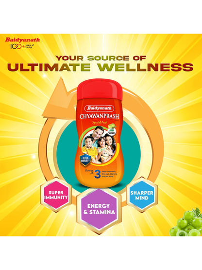 Baidyanath Chyawanprash Paste 500 gm