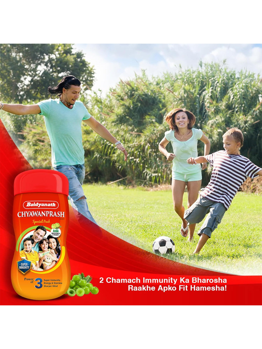 Baidyanath Chyawanprash Paste 500 gm