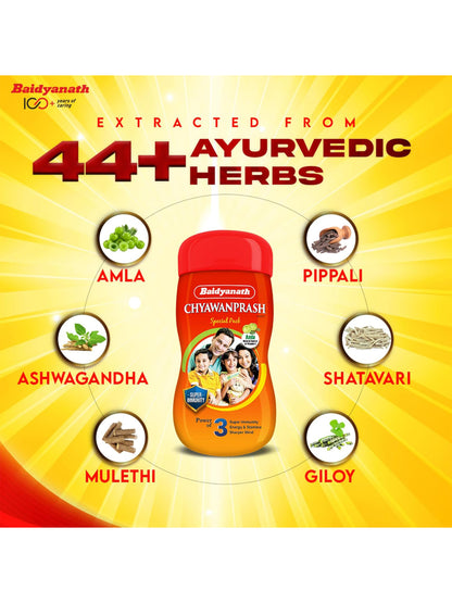 Baidyanath Chyawanprash Paste 500 gm