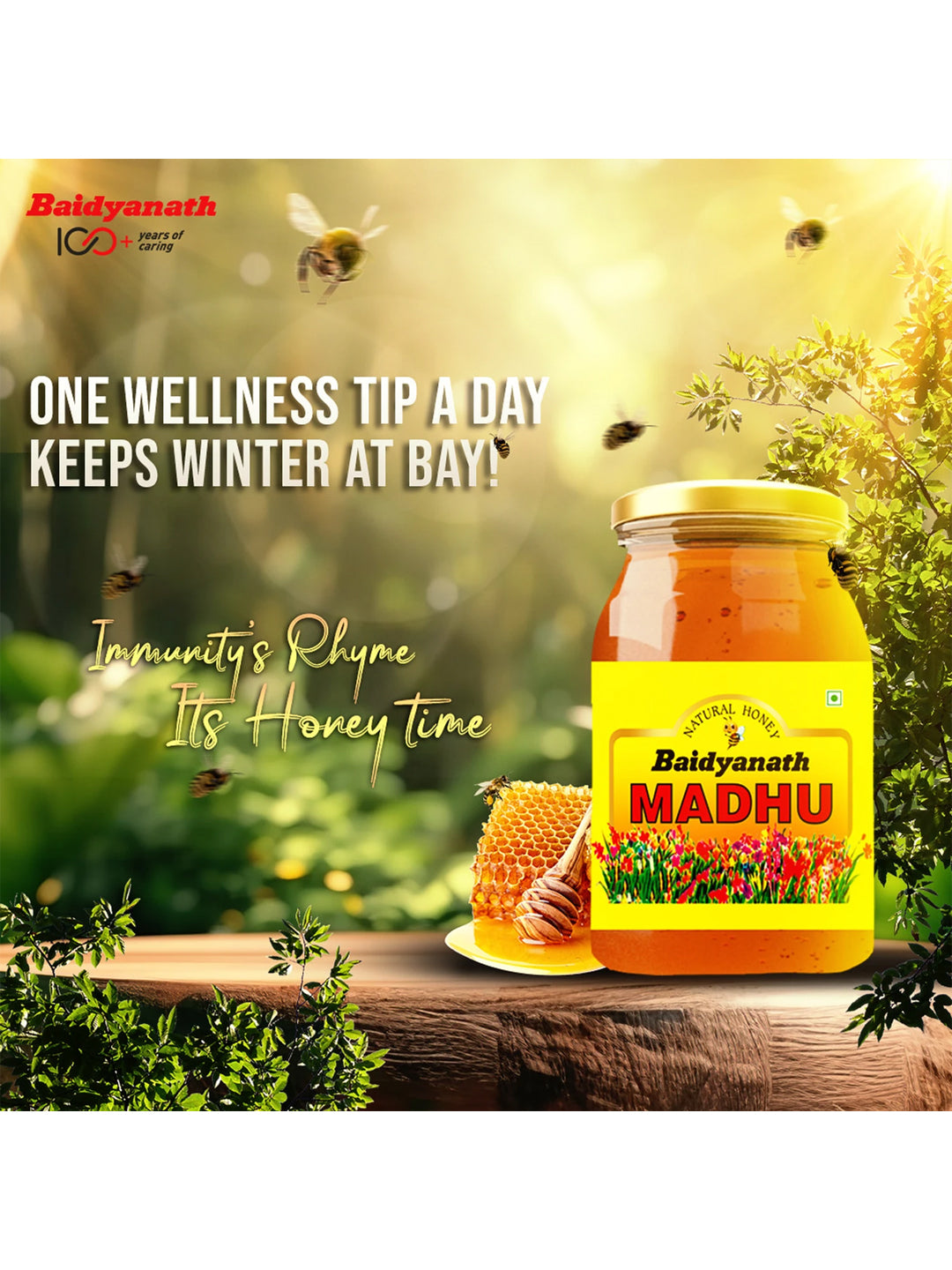 Baidyanath Madhu Honey 500 gm