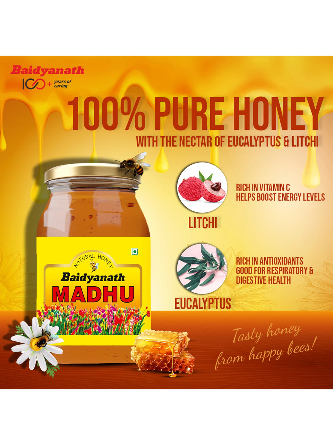 Baidyanath Madhu Honey 500 gm