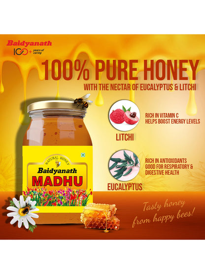Baidyanath Madhu Honey 500 gm