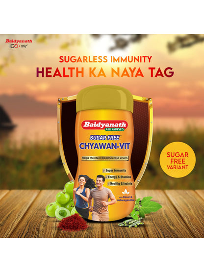 Baidyanath Chyawan Vit Sugar Free Paste
