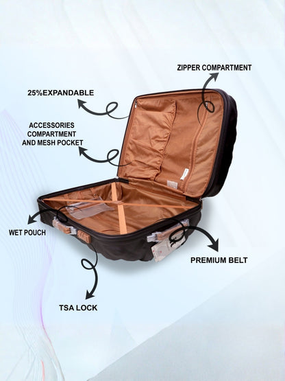 it luggage Embellish Brown Cabin 20 Inches Trolley Bag