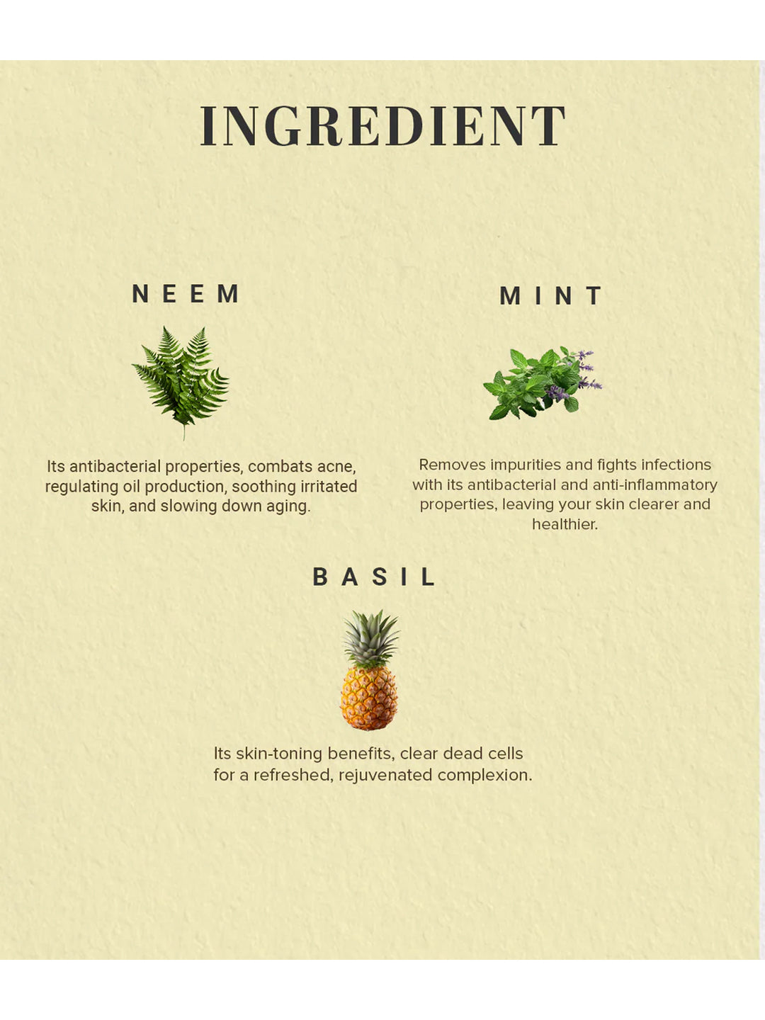 Khadi Natural Neem, Basil & Mint Face Mask