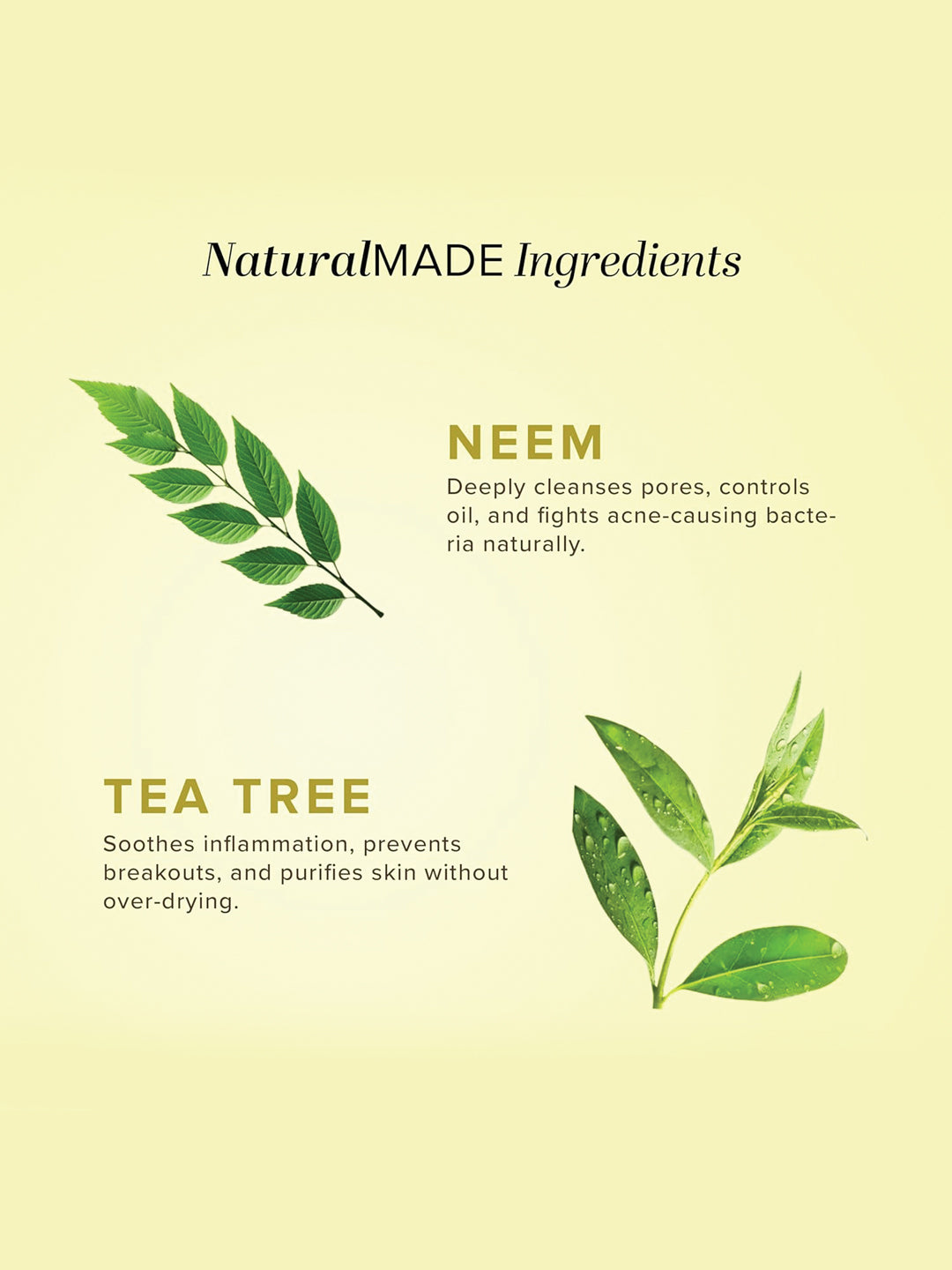 Khadi Natural Neem & Tea Tree Face Wash (210ml)