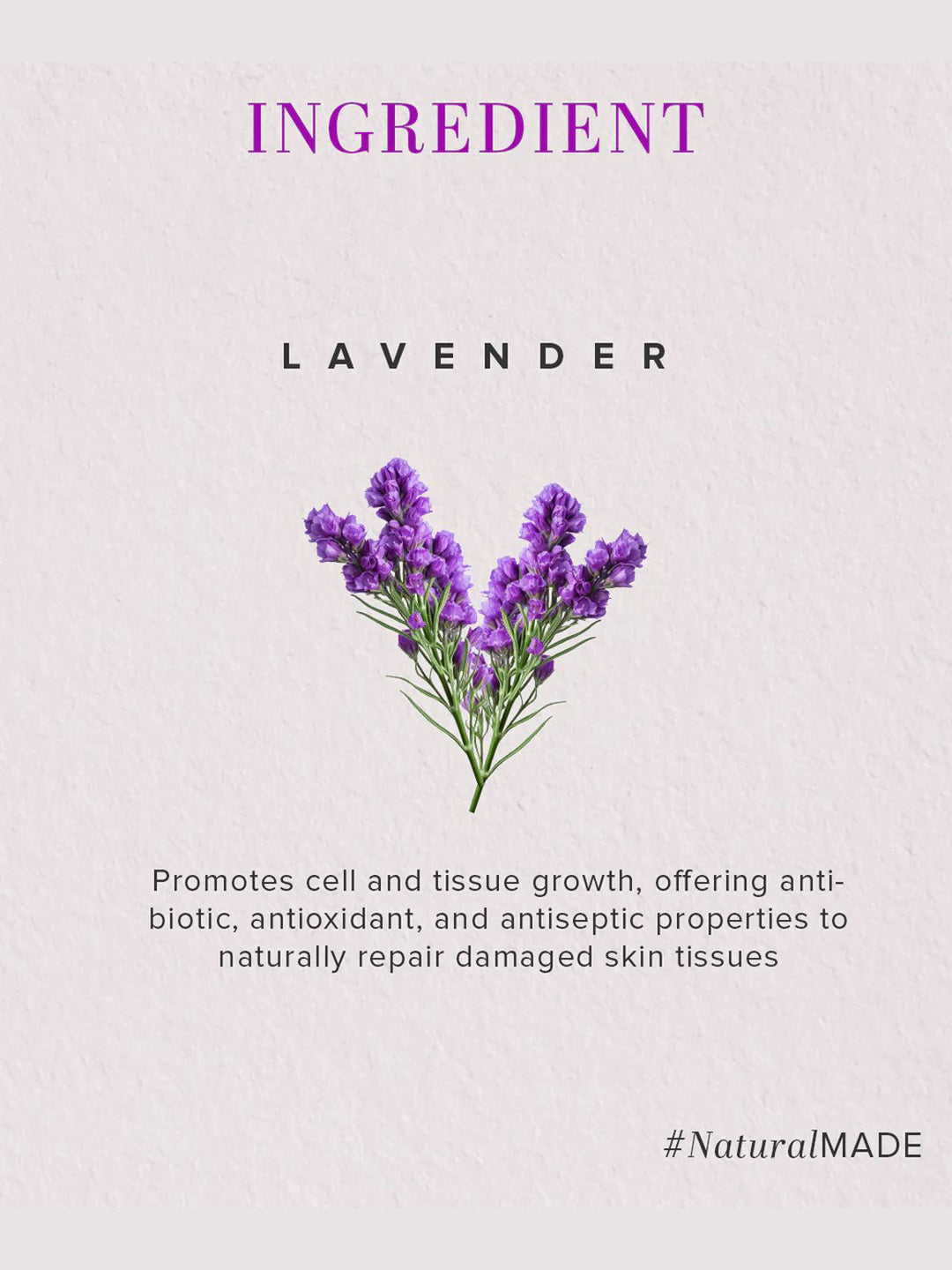 Khadi Natural Lavender Moisturizer (210ml)