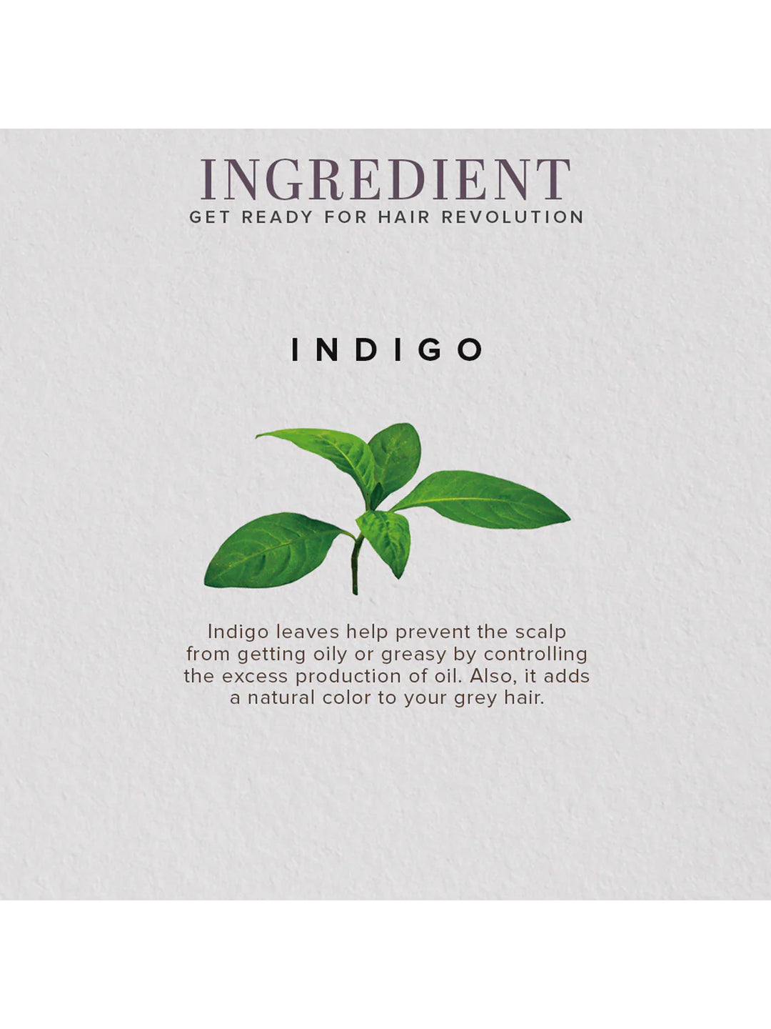 Khadi Natural Organic Indigo Leaf Powder (100g)
