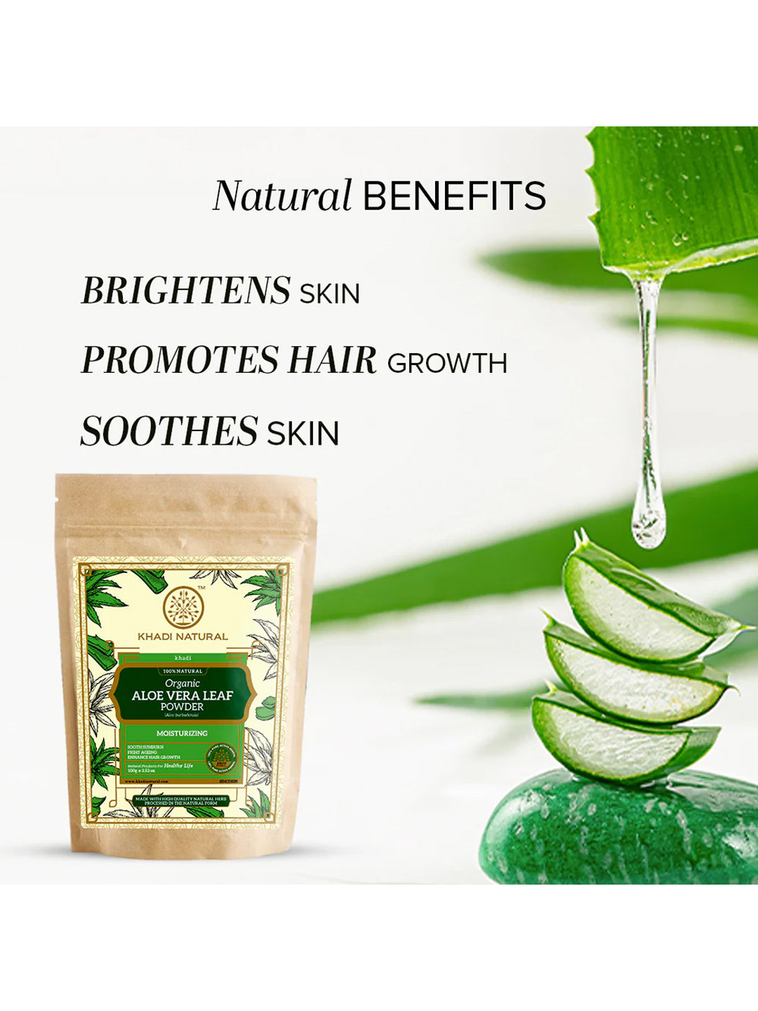 Khadi Natural Organic Aloe Vera Leaf Powder (100g)