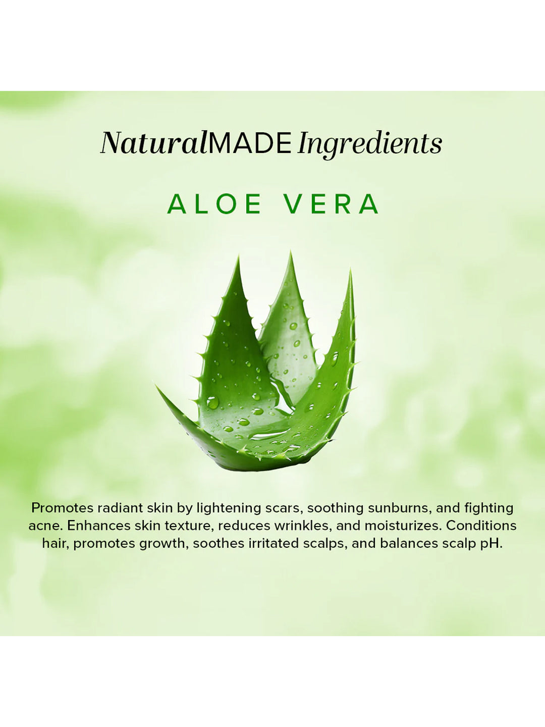 Khadi Natural Organic Aloe Vera Leaf Powder (100g)