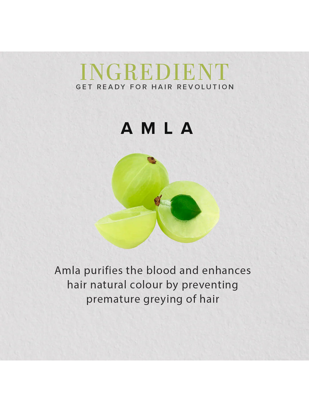 Khadi Natural Organic Amla Fruit Powder (100g)