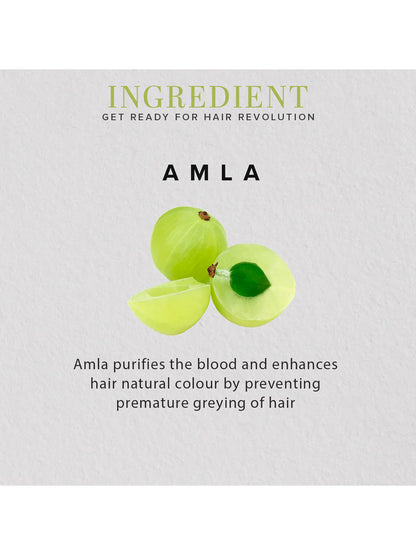 Khadi Natural Organic Amla Fruit Powder (100g)