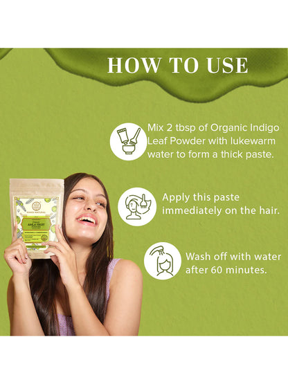 Khadi Natural Organic Amla Fruit Powder (100g)