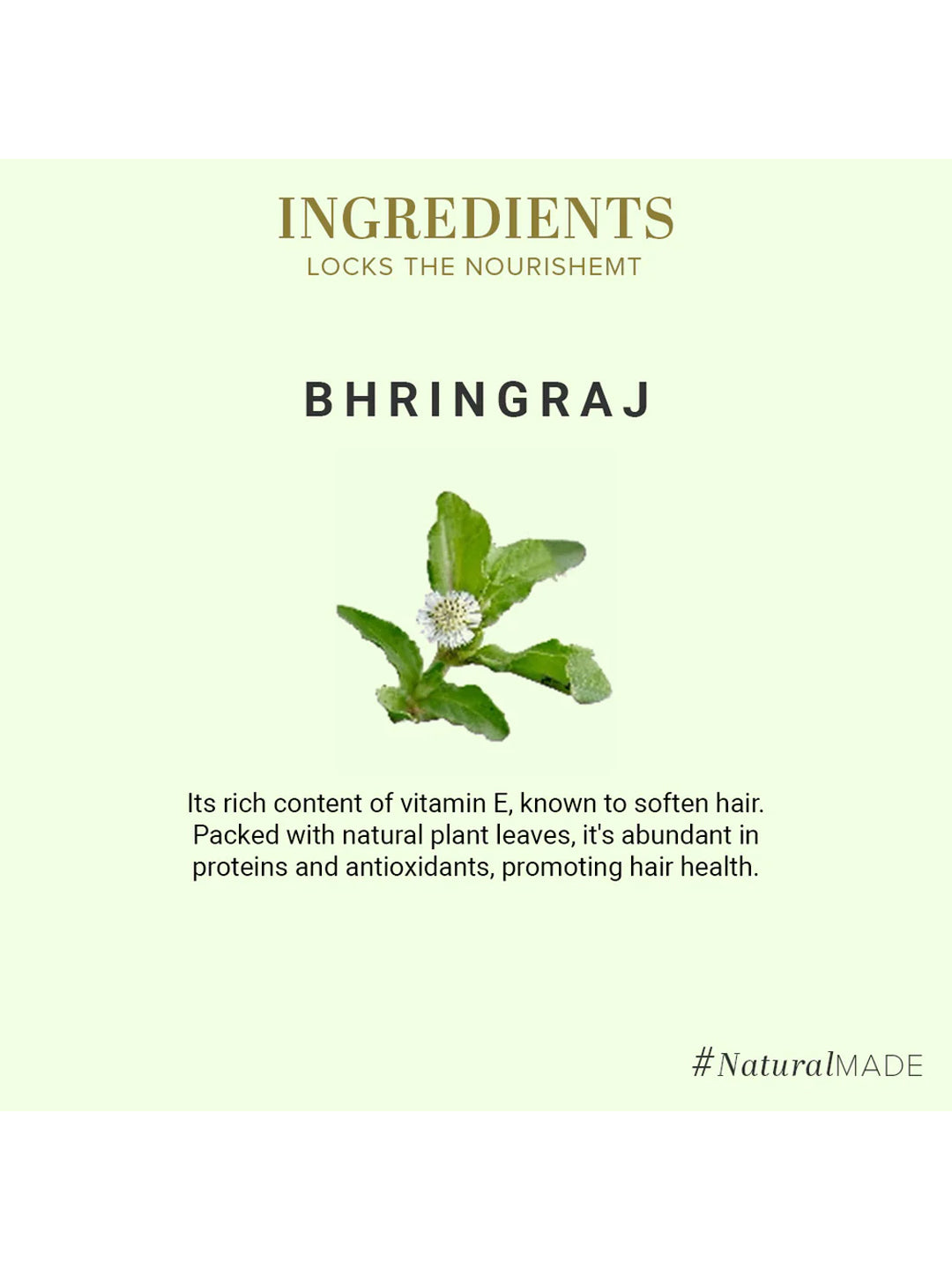 Khadi Natural Organic Bhringraj Leaf Powder (100g)
