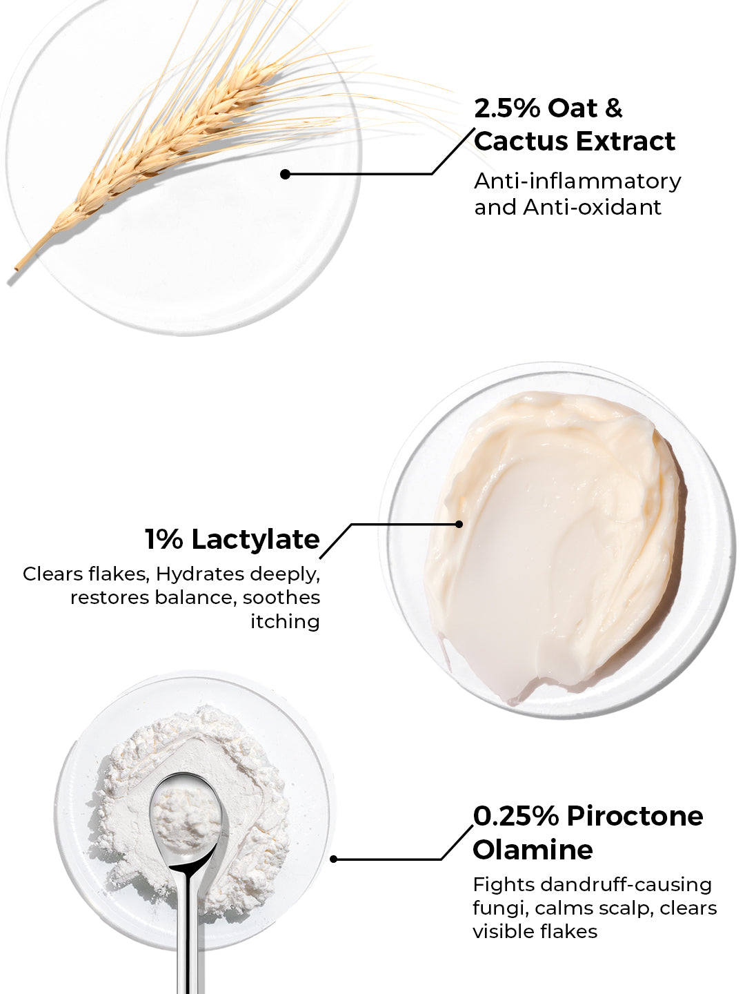 Brillare Lactylate Scalp Serum (30ml)