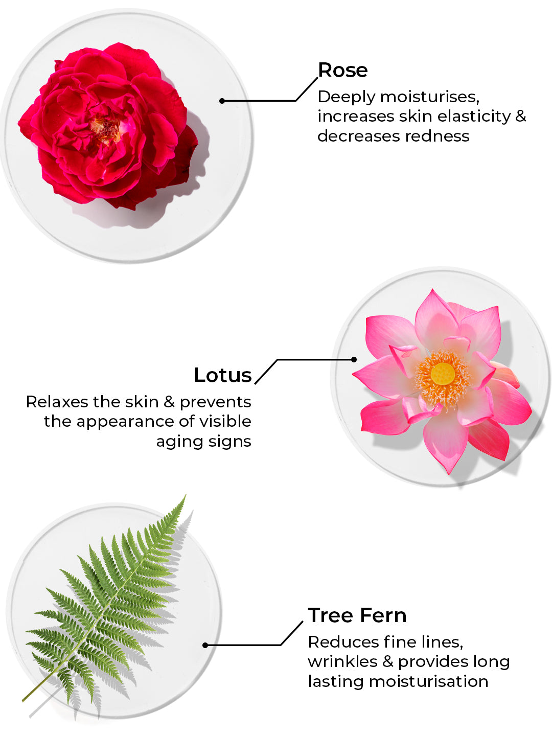 Brillare Age Revival Moisturizers For Ageing Skin (50ml)
