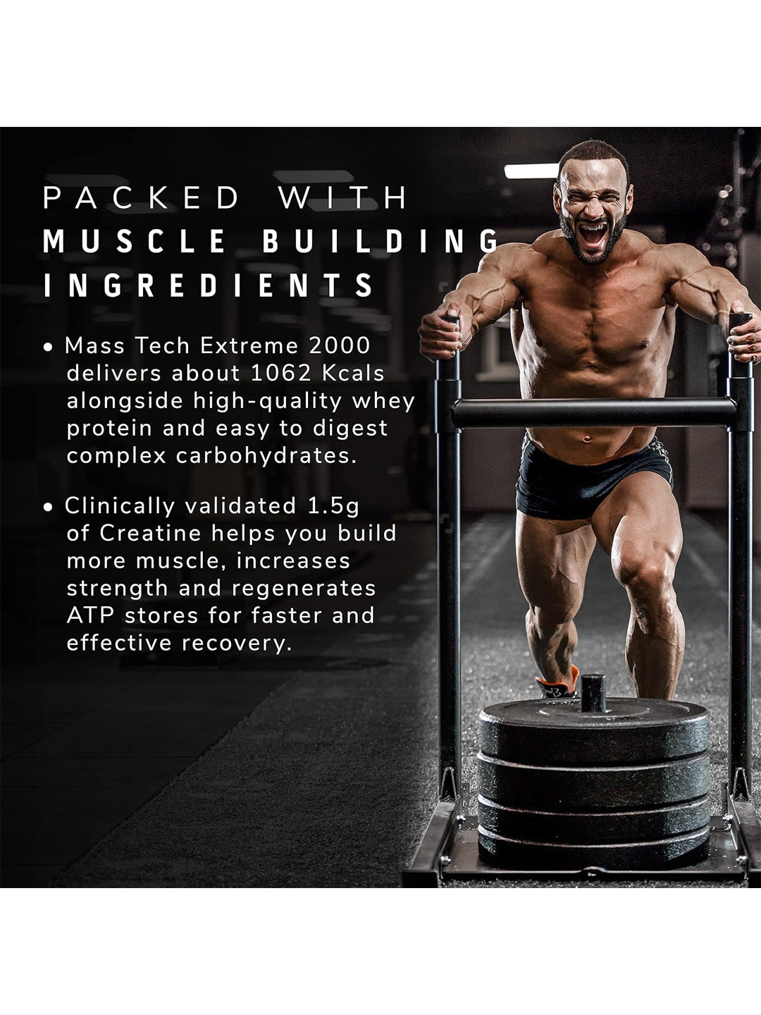 MuscleTech Mass Tech Extreme 2000 Triple Chocolate Brownie 3kg