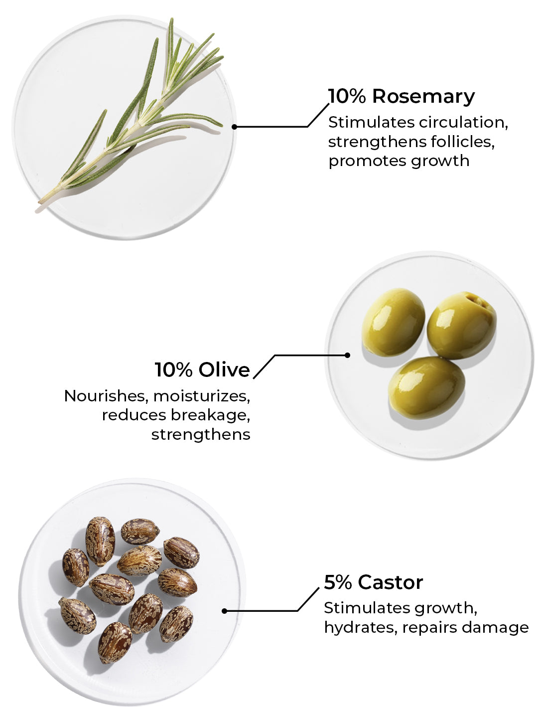 Brillare Rosemary Hair Oil (100ml)