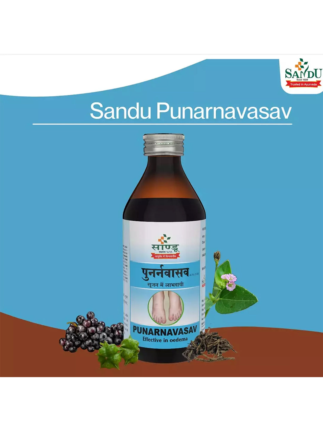 Sandu Punarnavasav Liquid