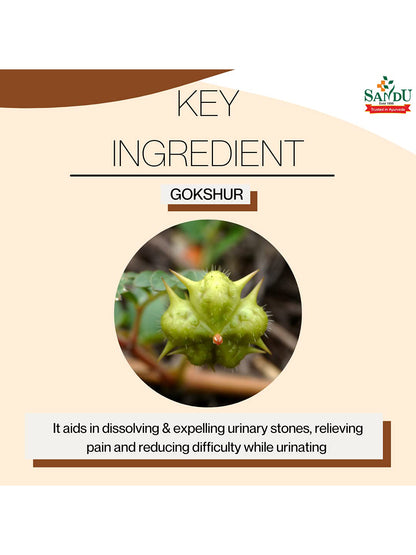Sandu Gokshur Kadha Liquid 450 ml