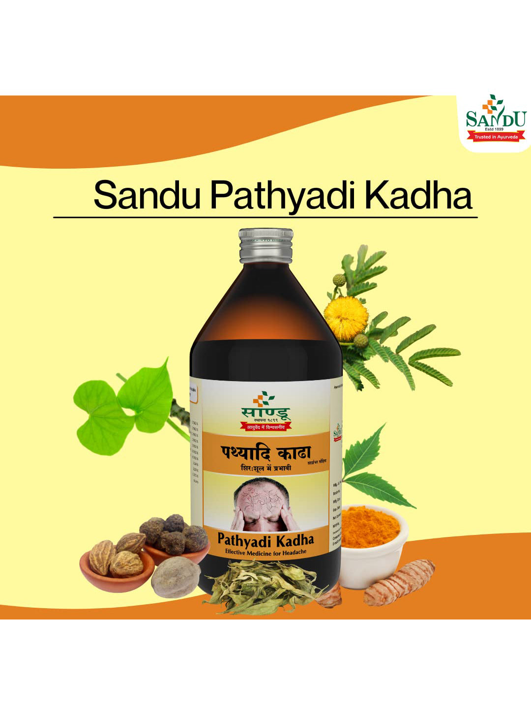 Sandu Pathyadi Kadha Liquid 200 ml