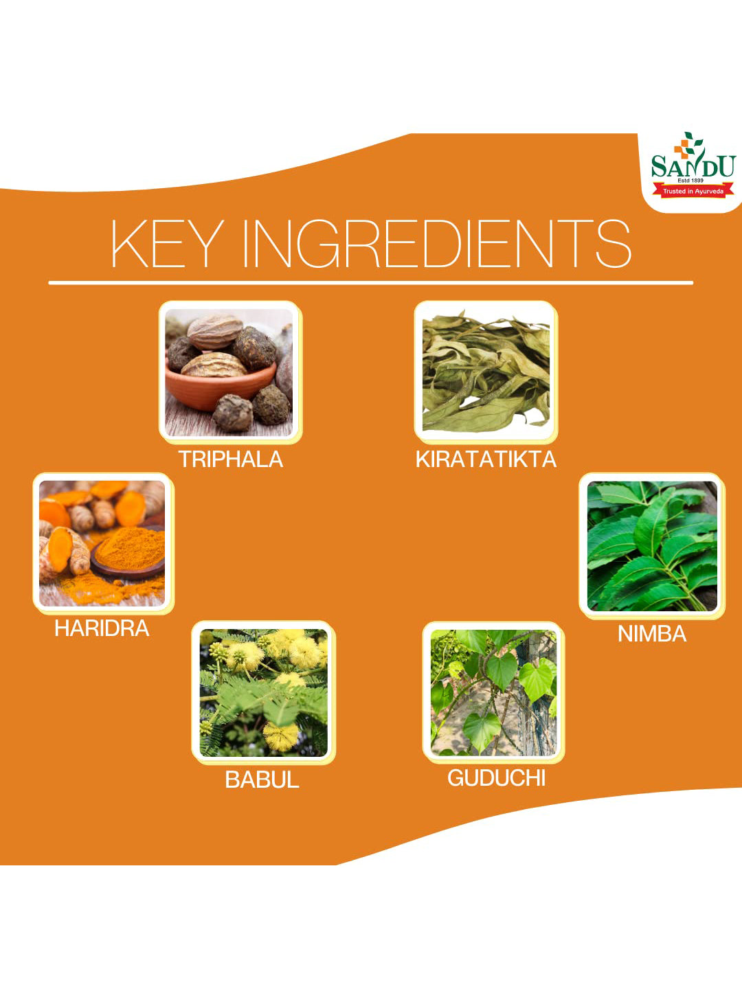Sandu Pathyadi Kadha Liquid 200 ml